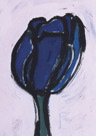 Tulp-scheefweb.jpg