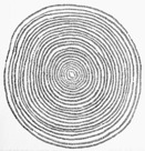 site.6403+17.jpg